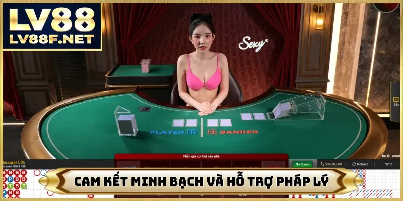 Cam kết minh bạch và hỗ trợ pháp lý