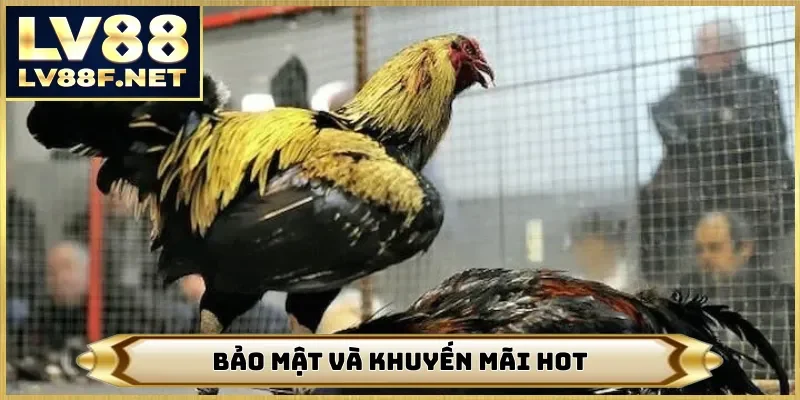 Bảo mật và khuyến mãi hot