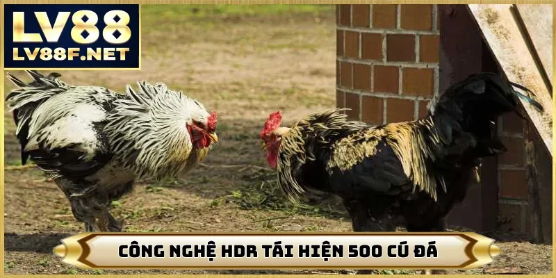 Công nghệ HDR tái hiện 500 cú đá