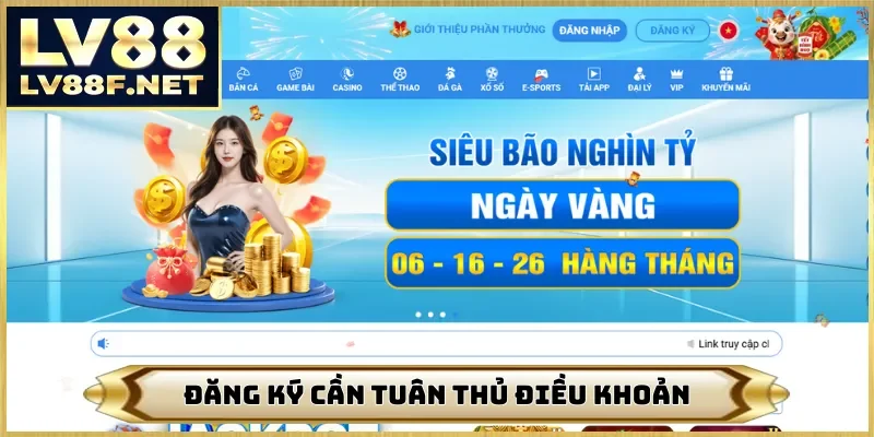 Đăng ký cần tuân thủ điều khoản
