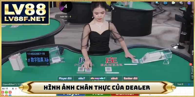 Hình ảnh chân thực của dealer