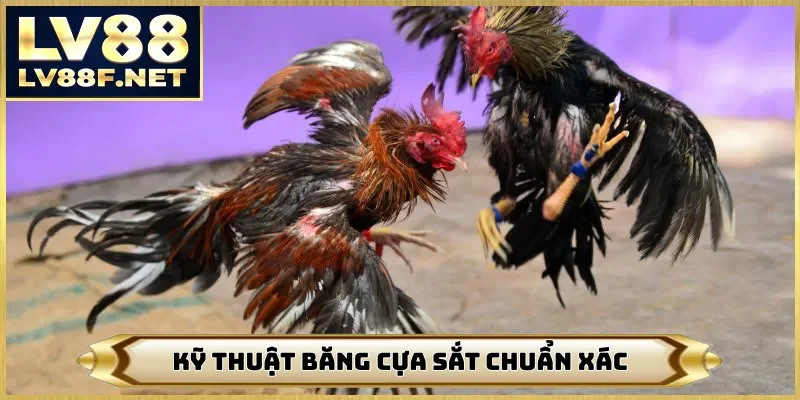 Kỹ thuật băng cựa sắt chuẩn xác