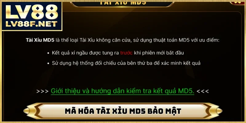 Mã hóa tài xỉu MD5 bảo mật