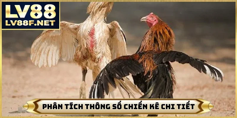 Phân tích thông số chiến kê chi tiết